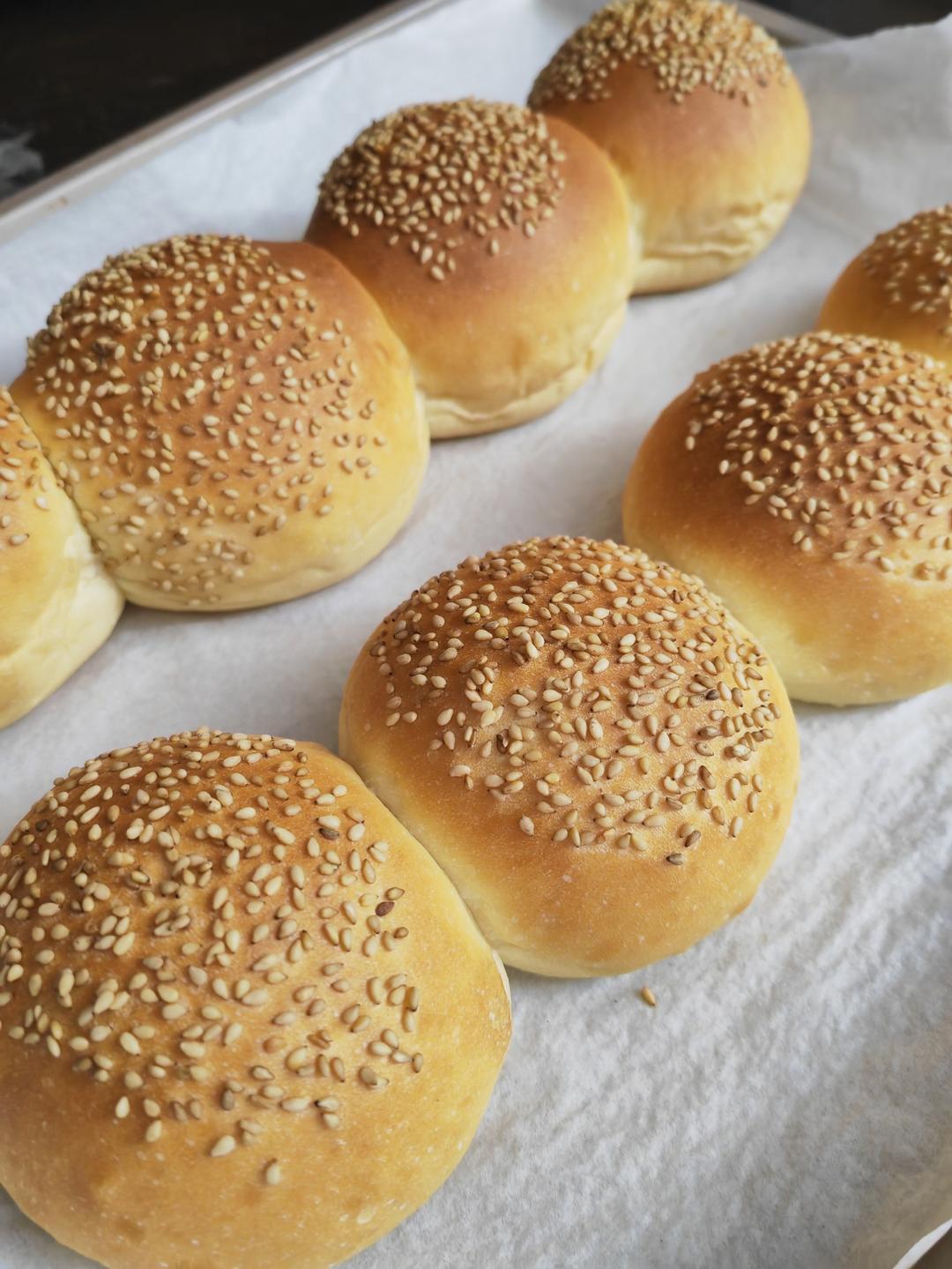 汉堡胚 poolish（波兰种）