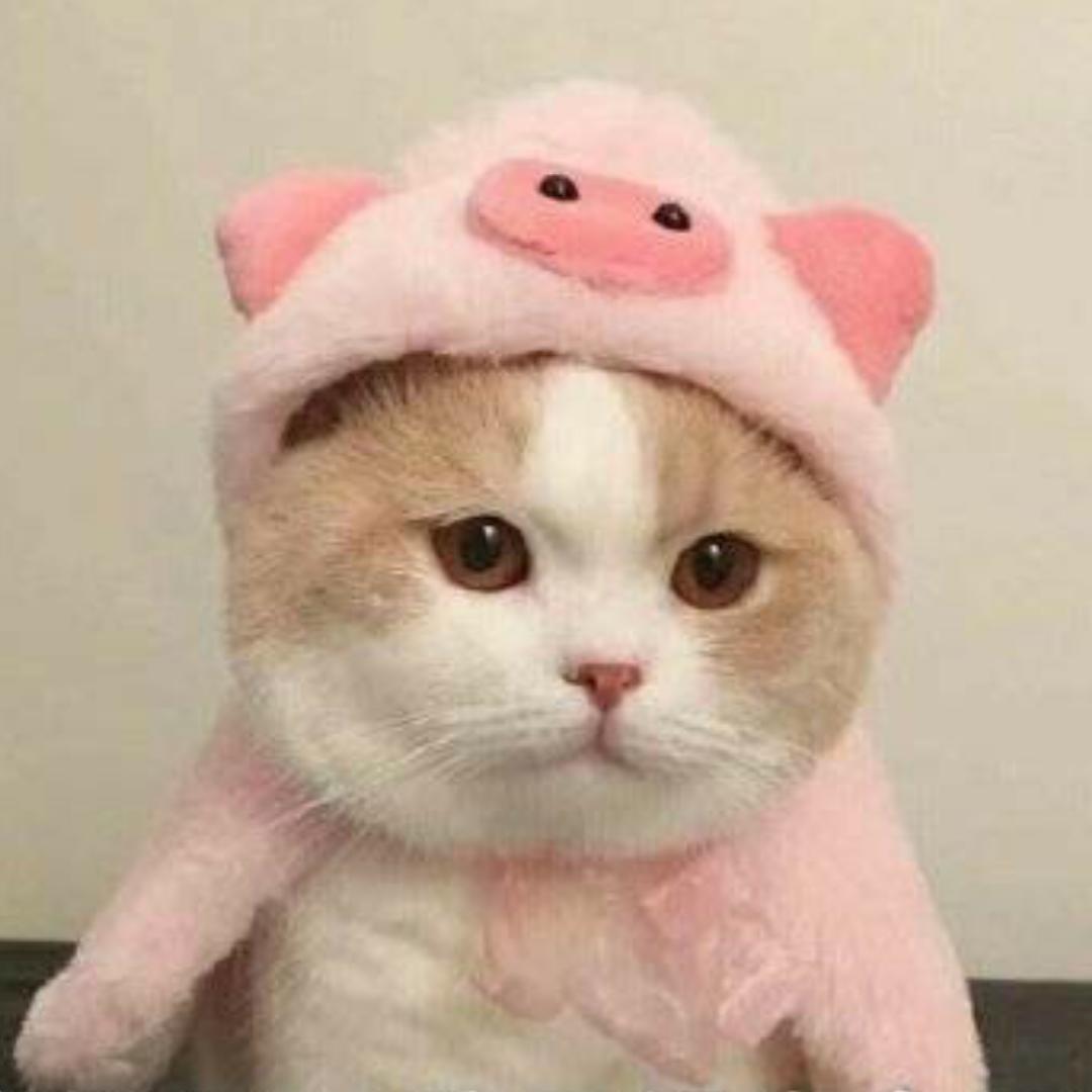 Aki秋秋
