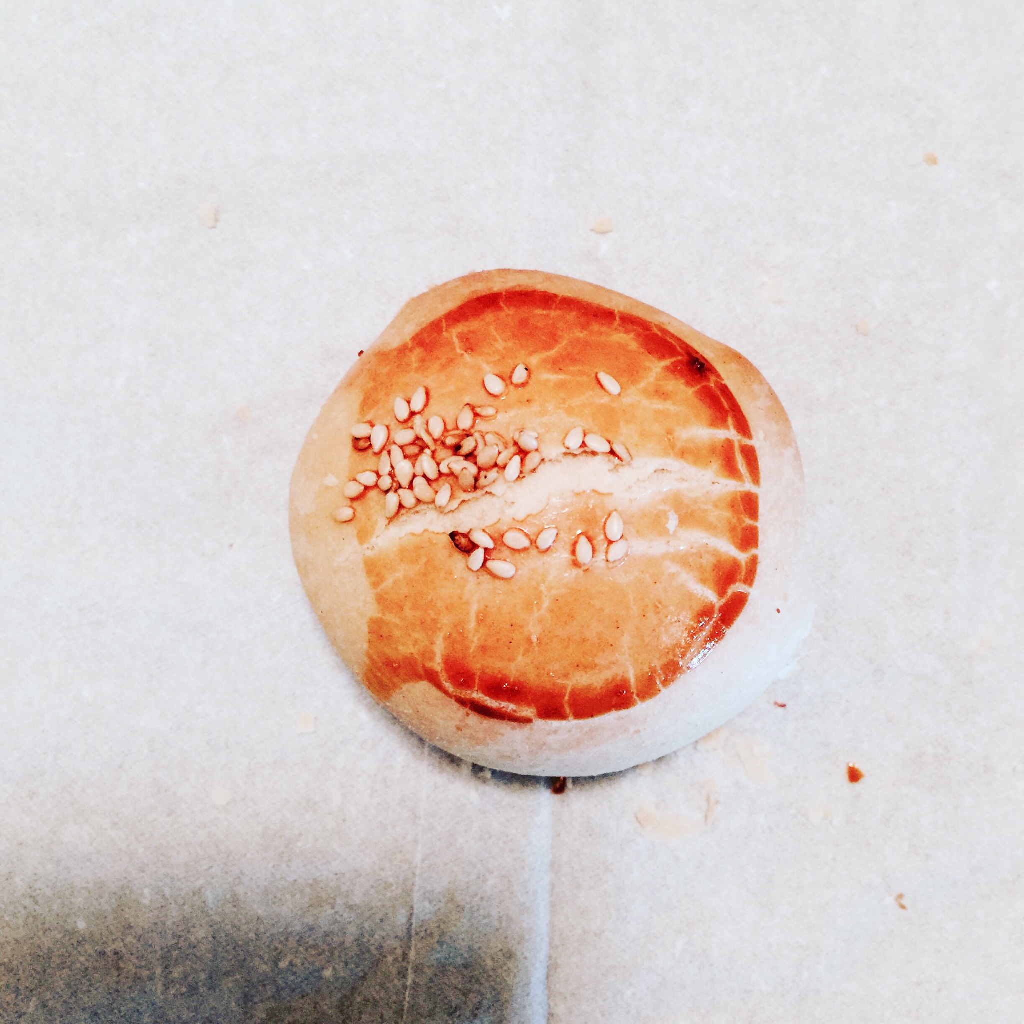 泳式鲜肉榨菜月饼