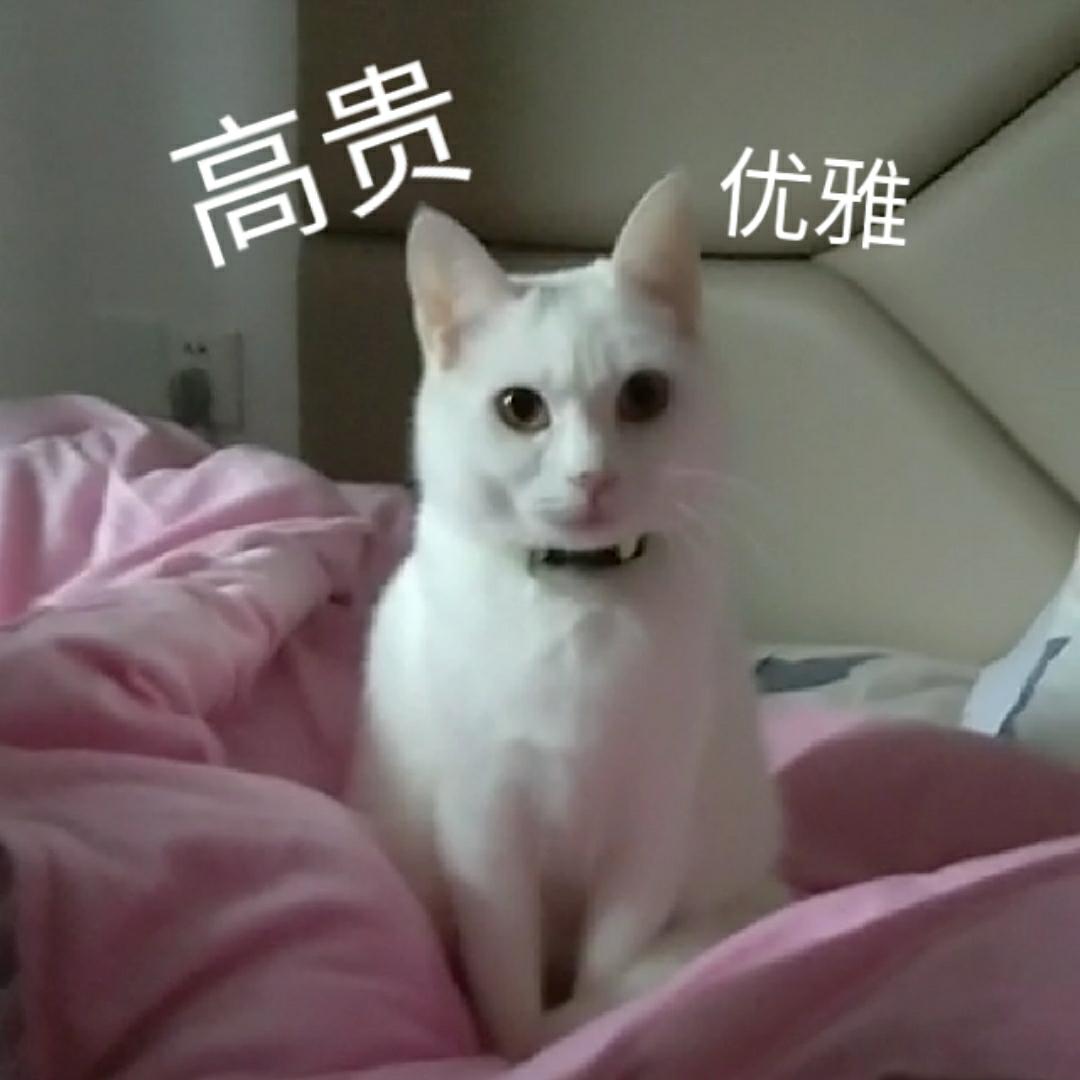 九月裡