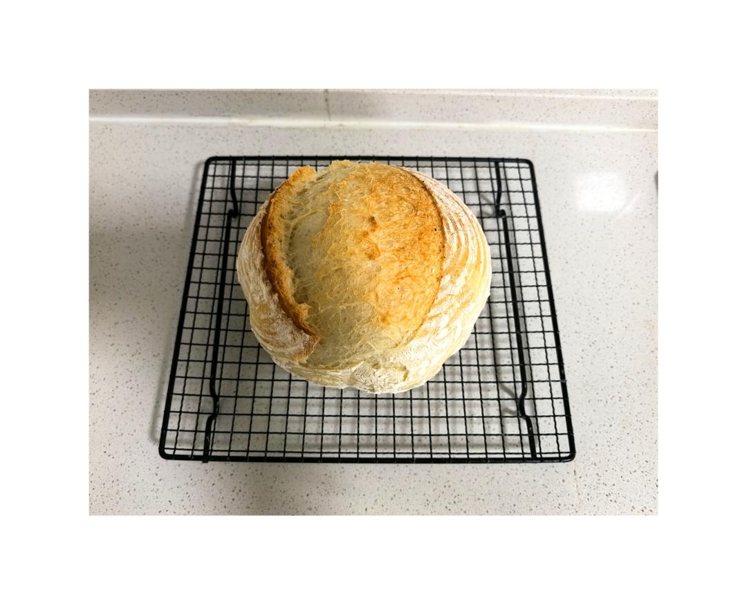 不用揉面！家庭烤箱就能做的乡村硬欧包！