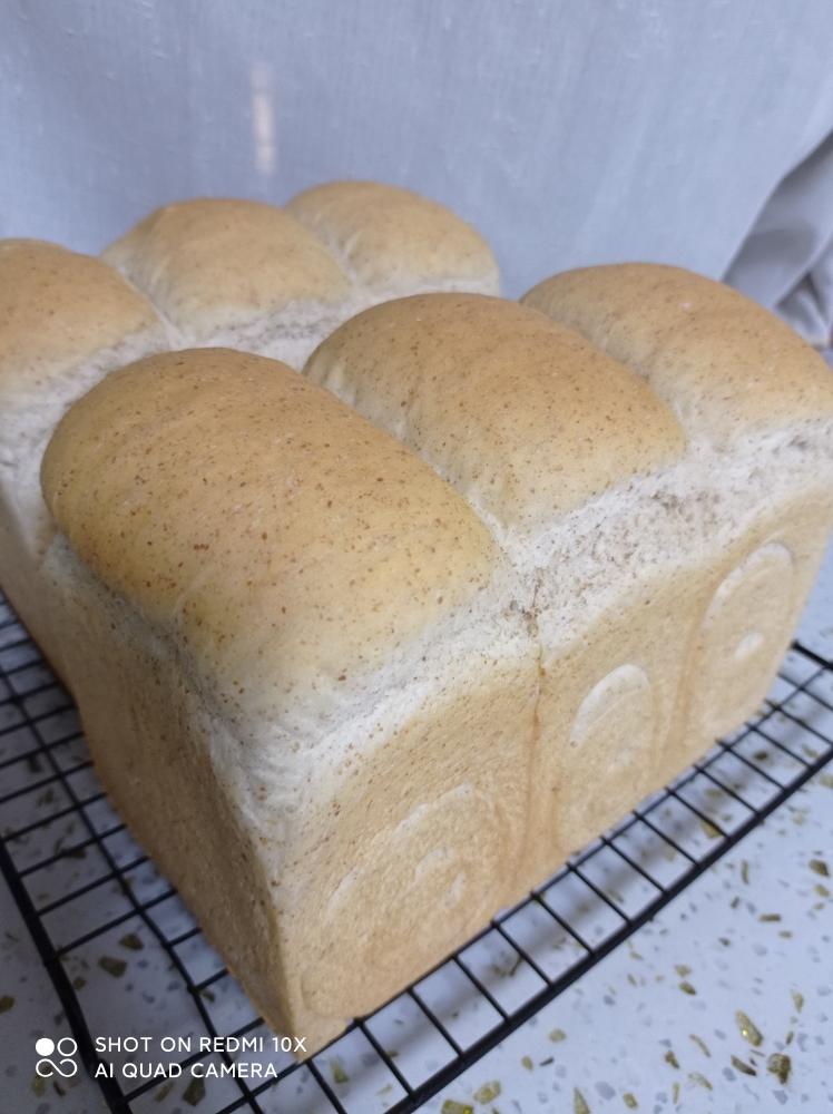 软乎乎的黑麦土司的做法