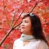 留金岁月6868