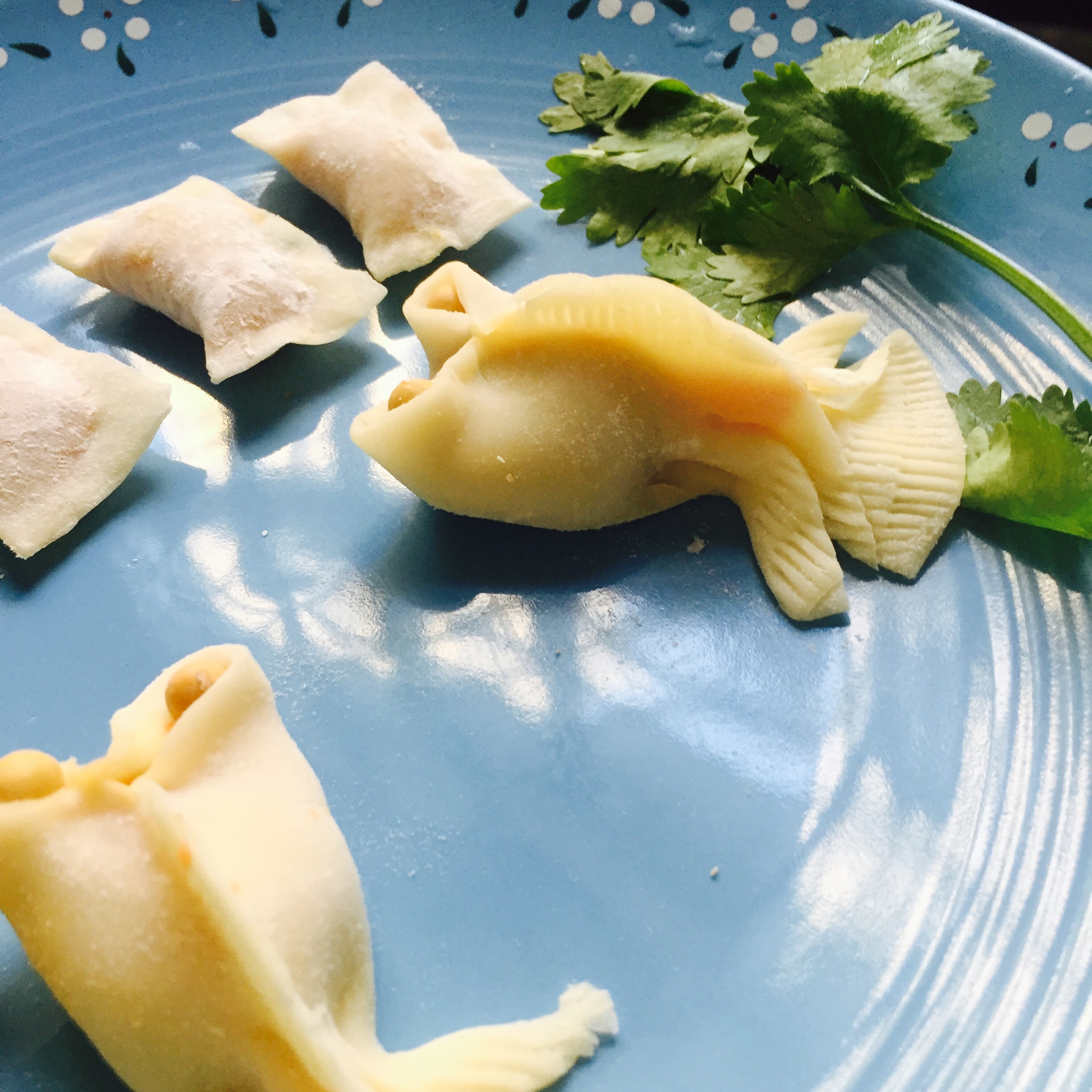 金鱼饺