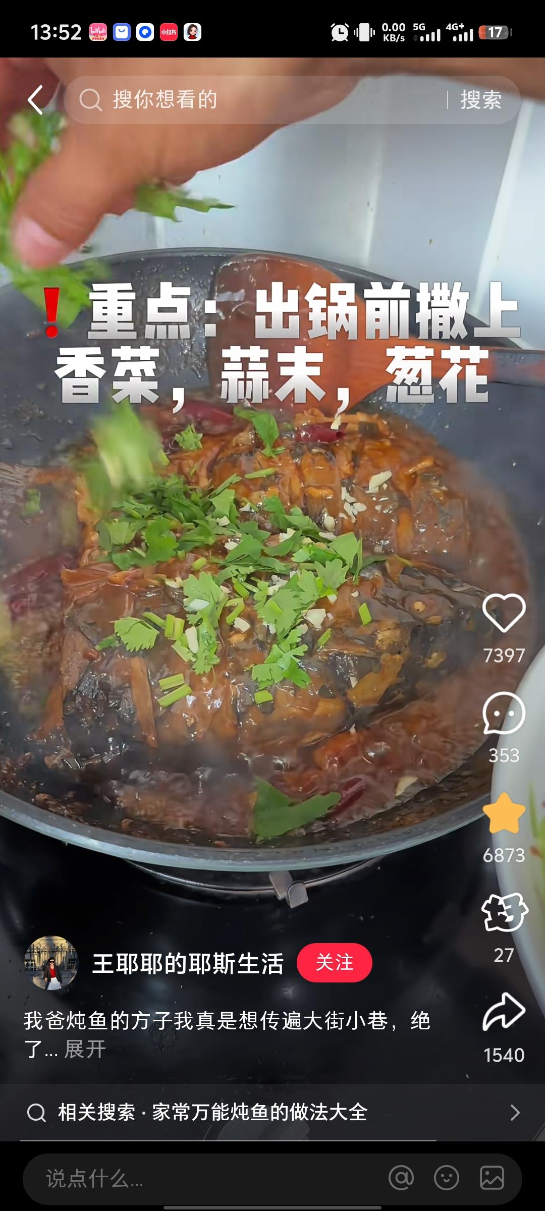 东北炖鱼收藏