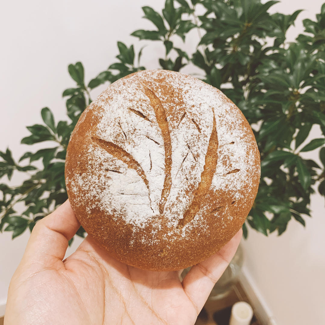 减肥党必备~~全麦软欧