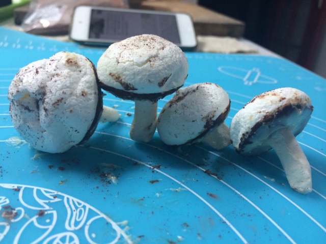 蛋白霜蘑菇