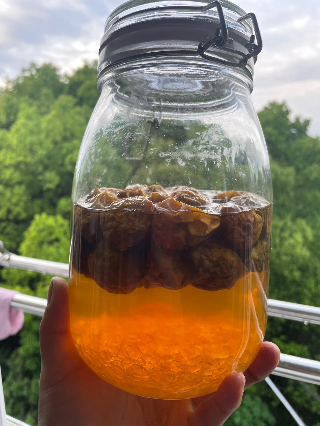 青梅的四种做法🌟保姆级教程【青梅酒、青梅露、盐渍青梅、青梅酱】