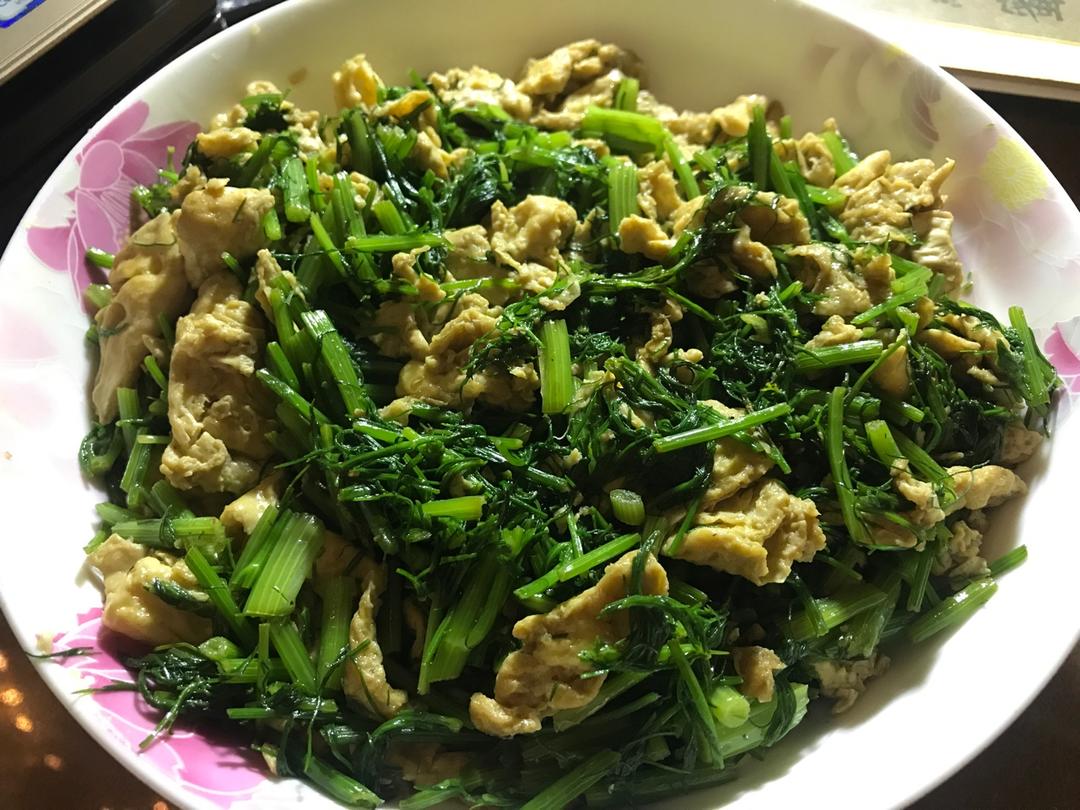 鸡蛋的各种演绎法：茴香炒鸡蛋