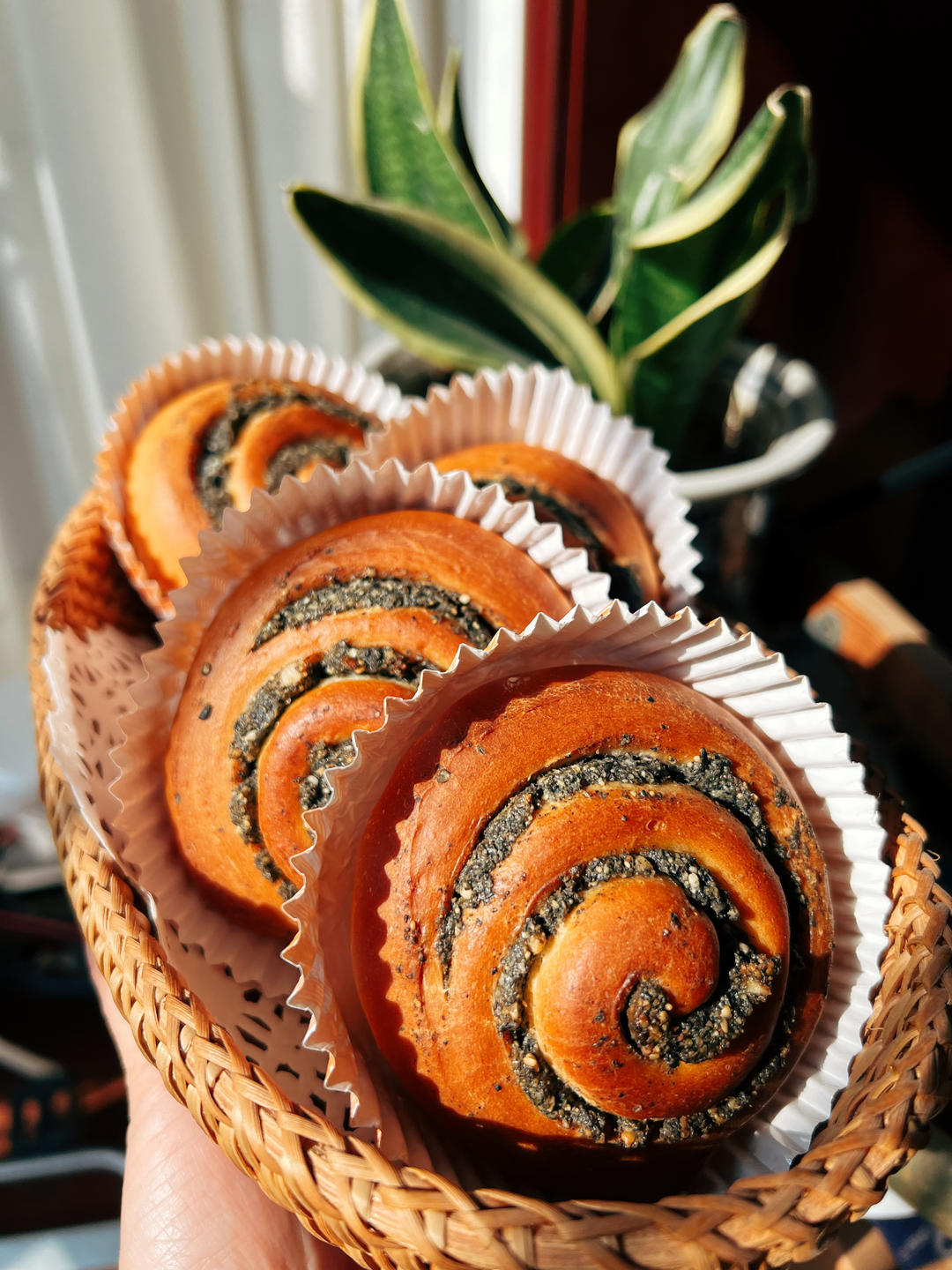 黑芝麻核桃面包卷