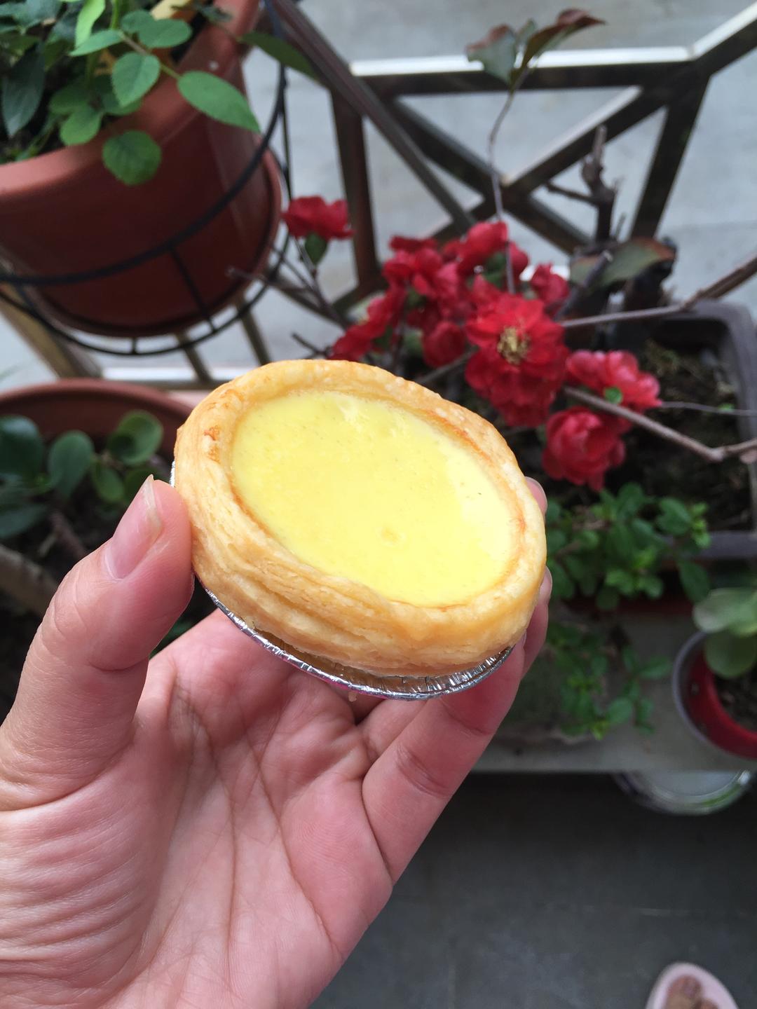 简单无奶油蛋挞