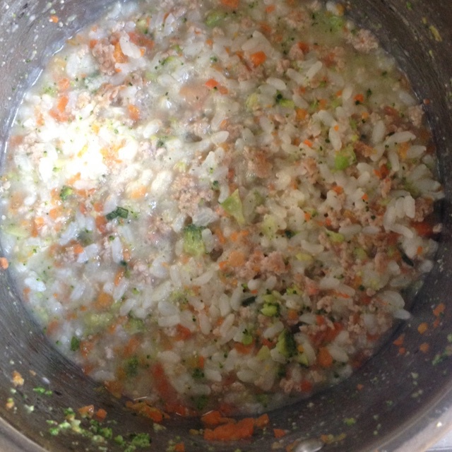 胡萝卜瘦肉粥（婴儿粥）