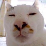 一堆英文字幕