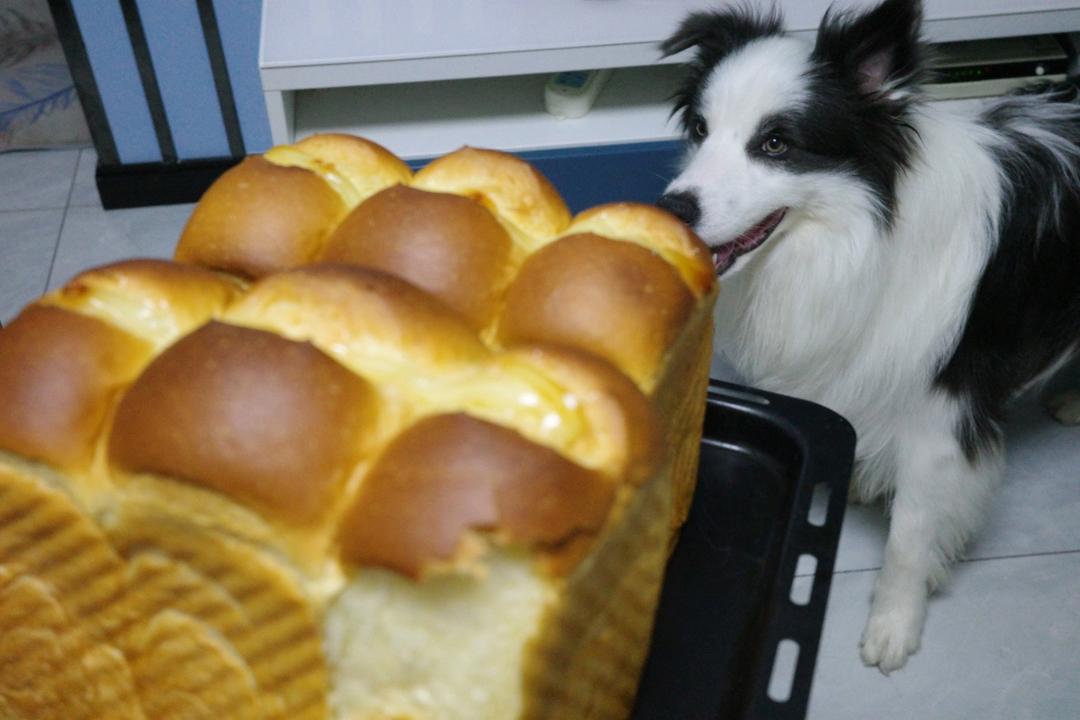 🌟只需一发的软妹子🌟奶香吐司🍞