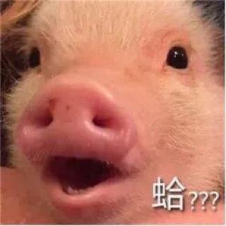 柚子爱吃柚子皮