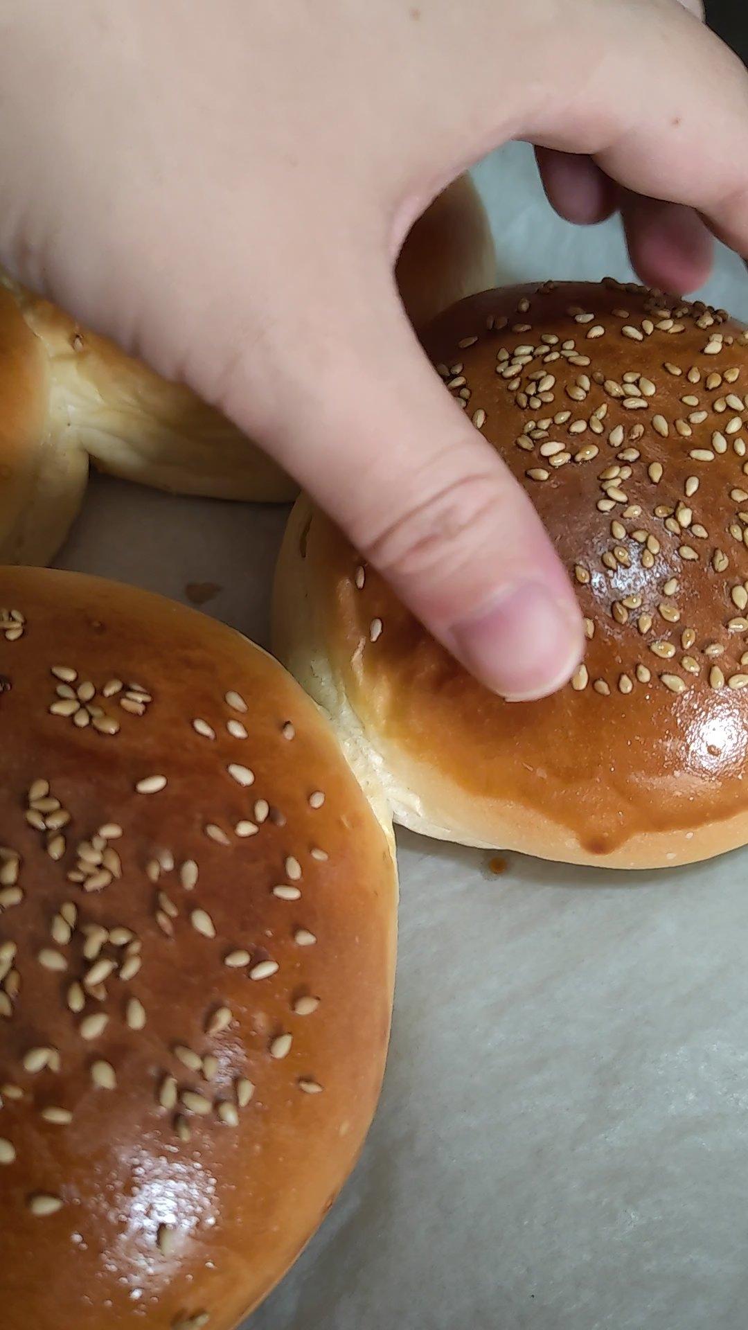 汉堡胚 poolish（波兰种）