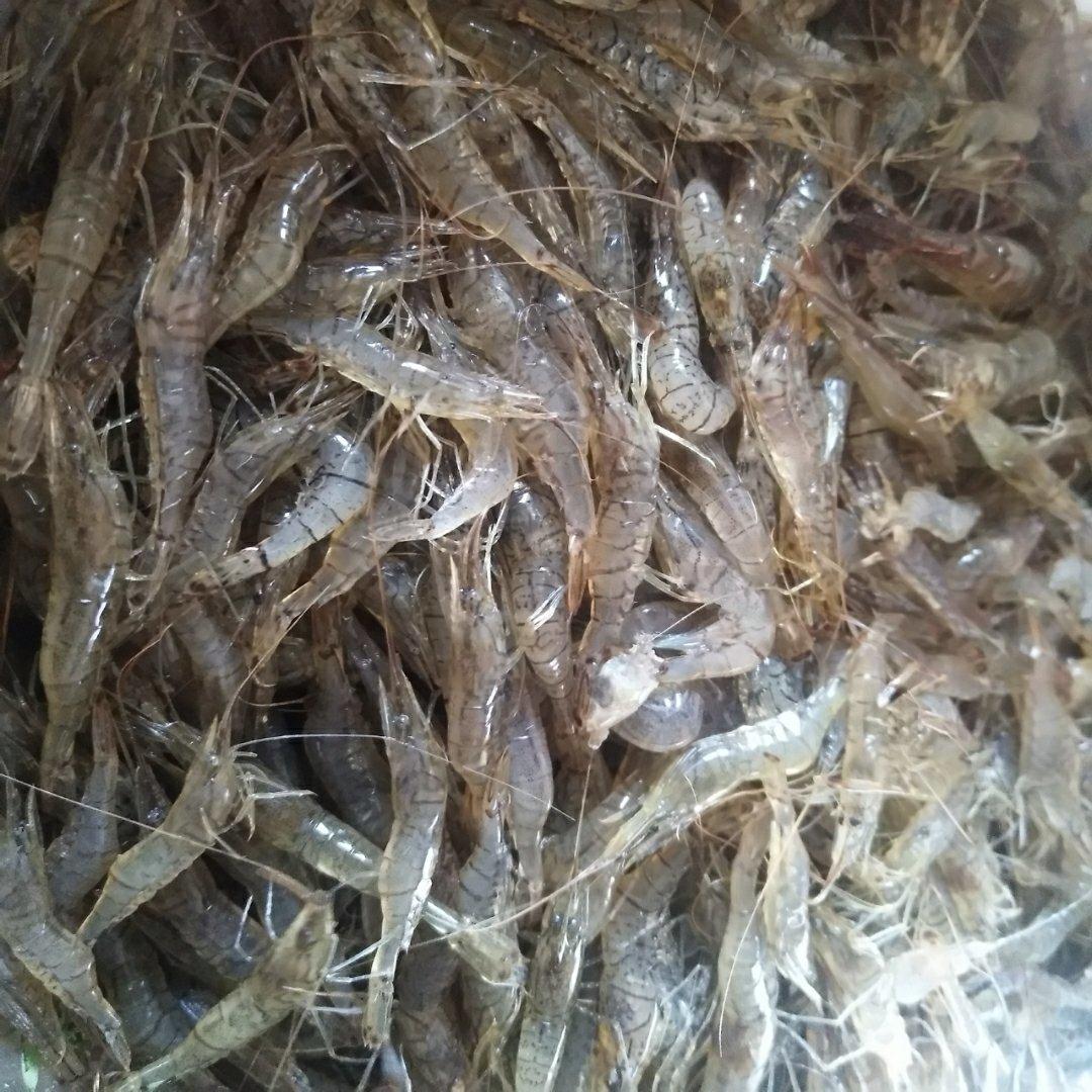 〈炸河虾〉，我老爸最爱。欣小厨 😉