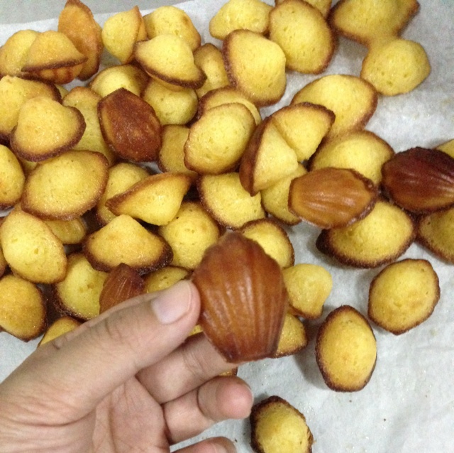 蜂蜜玛德琳