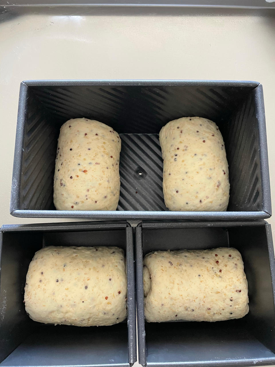 全麦吐司（70%冷藏中种法）