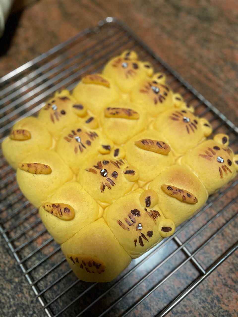 虎年特集~小老虎挤挤面包