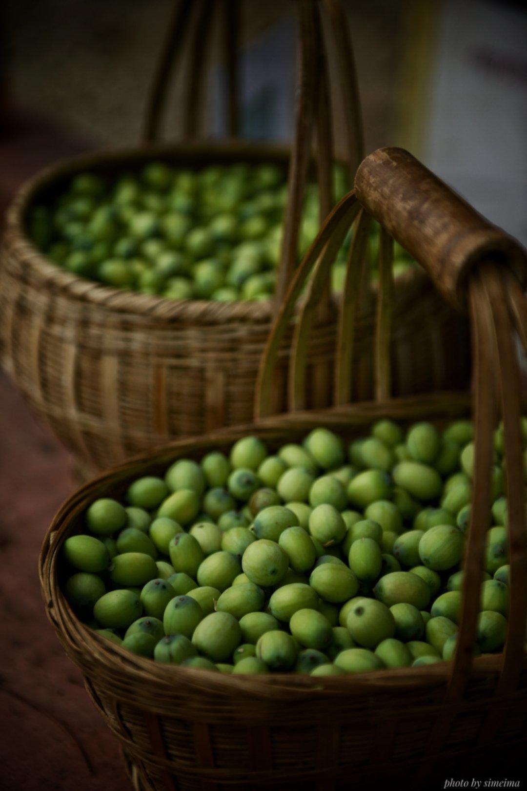 最好的厨艺就是食材本身