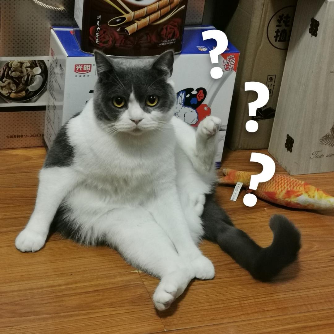 鸳鸯小主
