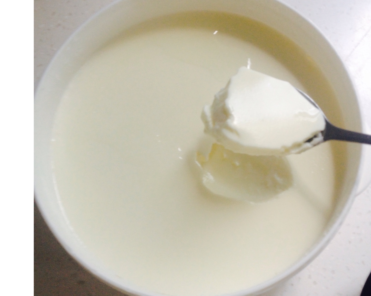 老酸奶（奶粉版）的做法