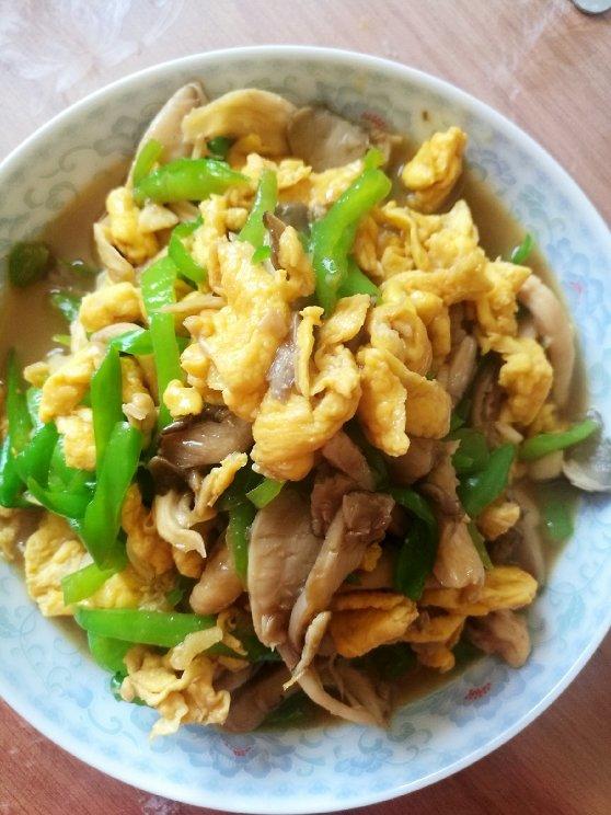 virgil是大笨蛋做的平菇青椒炒鸡蛋好吃又营养的超快手家常菜
