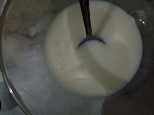 木瓜奶冻的做法 步骤3
