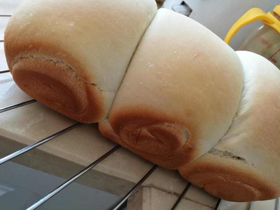 夺命软吐司(๑´ڡ`๑)超软拉丝极速方便的一次发酵吐司