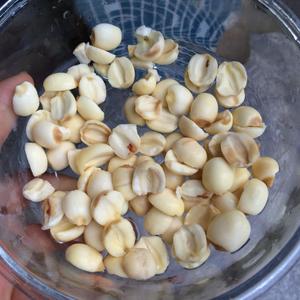 绿豆莲子豆浆的做法 步骤2
