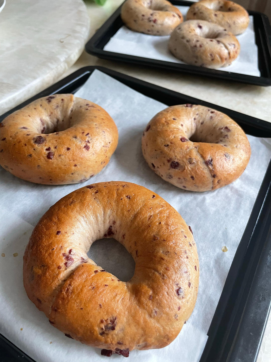 全麦蔓越莓贝果