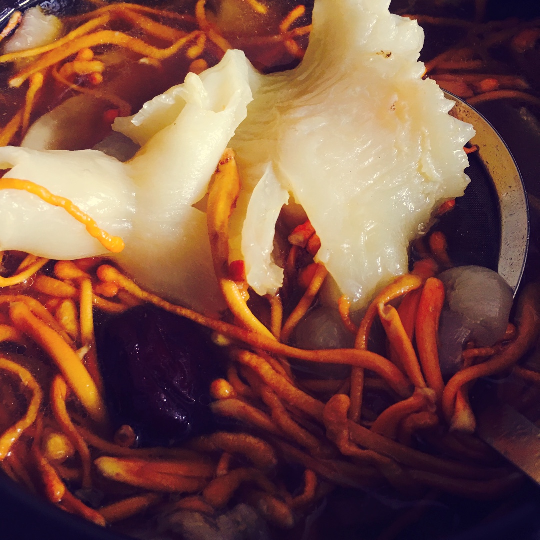 虫草花炖花胶（平补不燥）