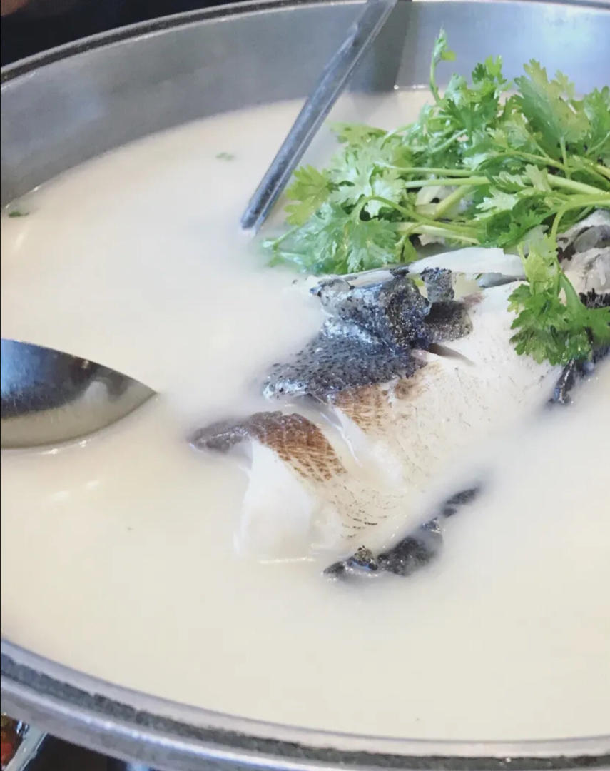 这样做的鲫鱼汤超好喝，奶白奶白的