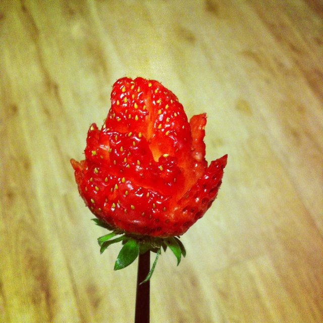 aloooooyy做的草莓玫瑰花