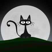 一只特立独行滴猫