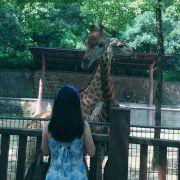 Daisy_718