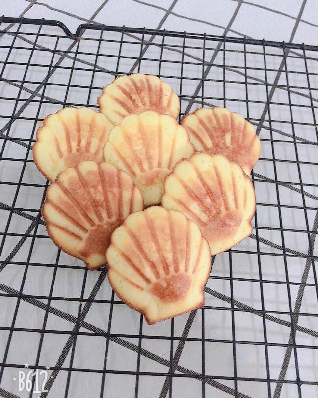 《Tinrry+》柠檬玛德琳