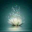 手机用户9952_adqv