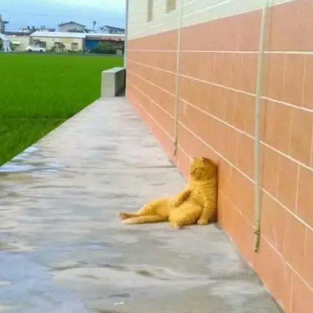 手机用户4360_ywqg