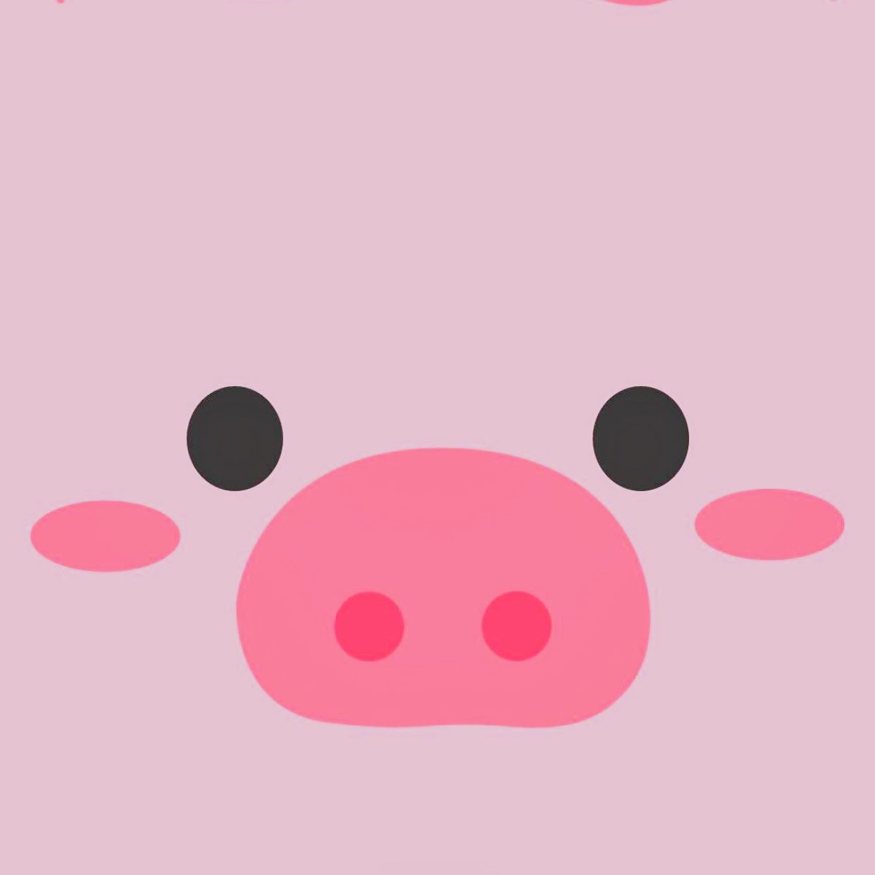 Hello-小猪宝