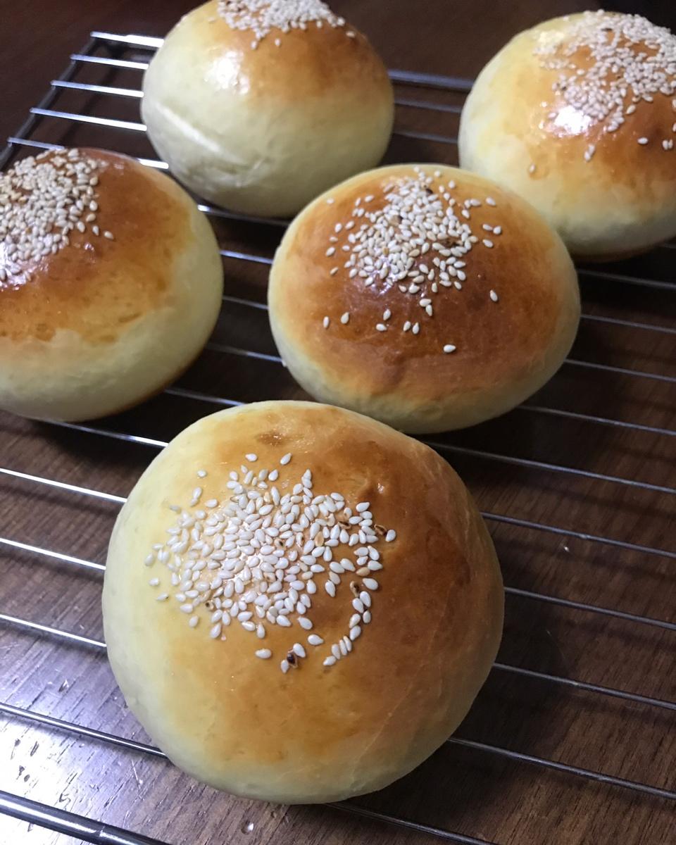 汉堡胚 poolish（波兰种）