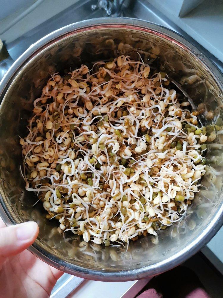 自发绿豆芽（奶粉罐版）