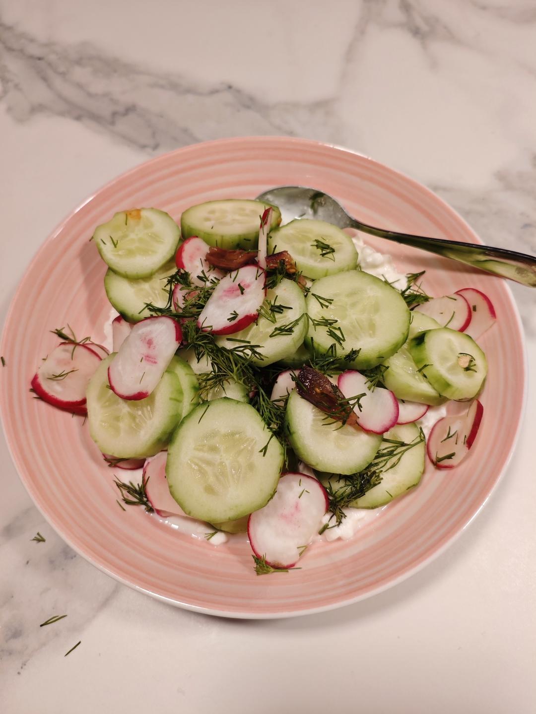 黄瓜萝卜沙拉配新鲜奶酪 Cucumber and Radish Salad with Fresh Cheese