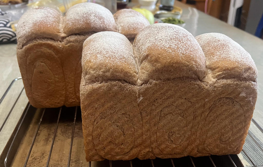 黑全麦波兰种吐司，这么柔软简直怀疑你是个假全麦！