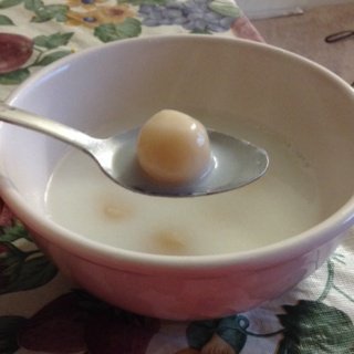 18岁的椰汁小圆子