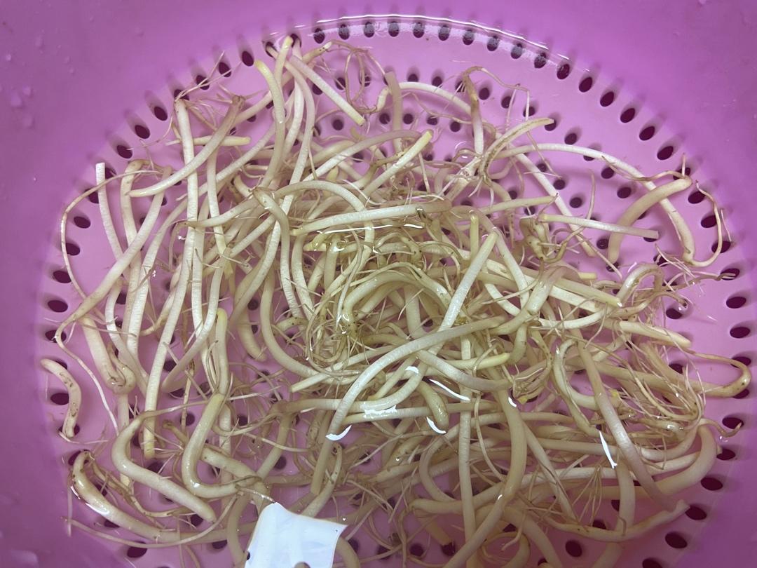 自己发豆芽【果汁盒/大牛奶盒】