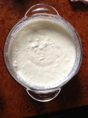 西藏林芝天然雪莲菌版酸奶的做法 步骤4