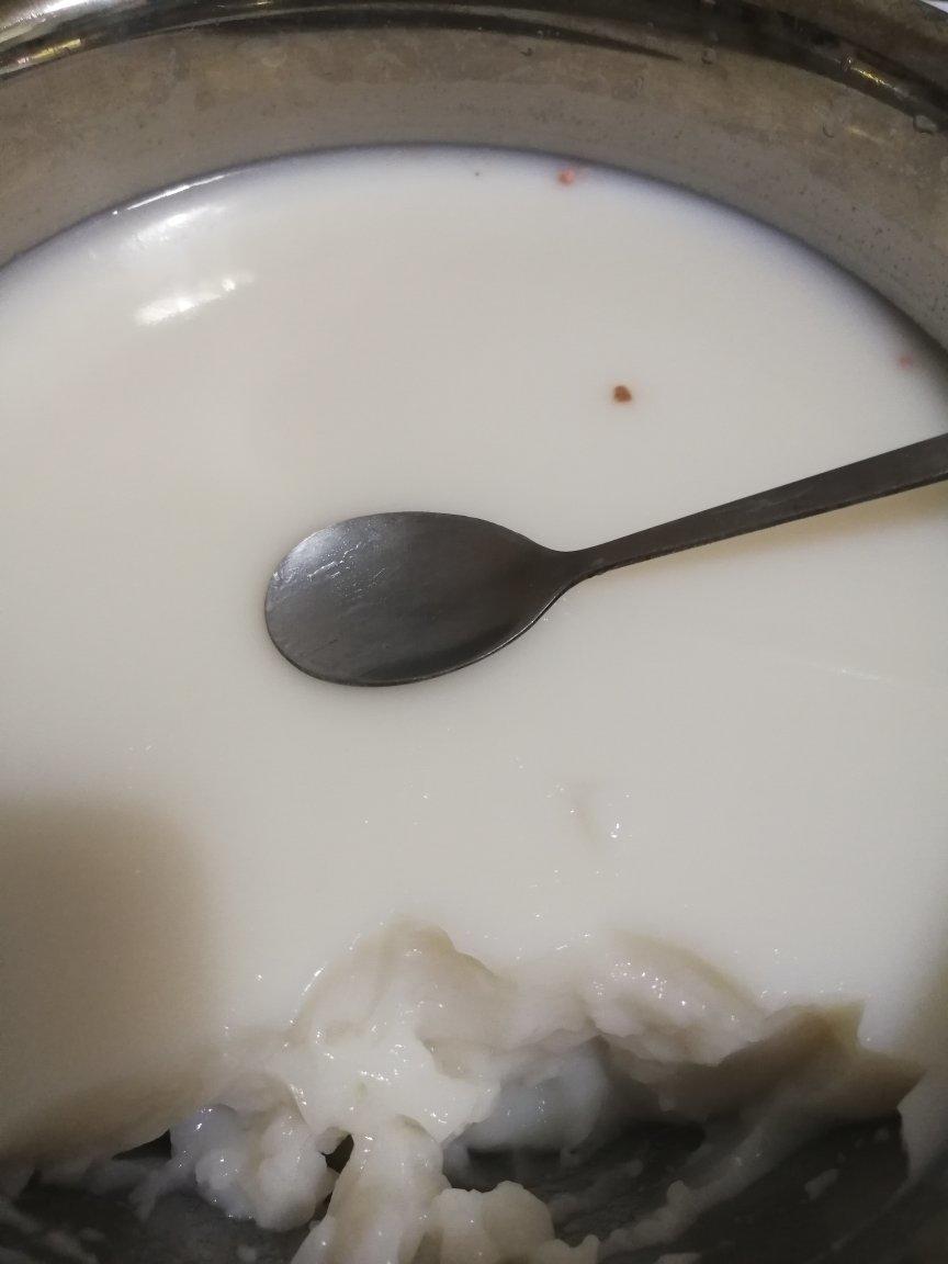 一整颗椰子冻