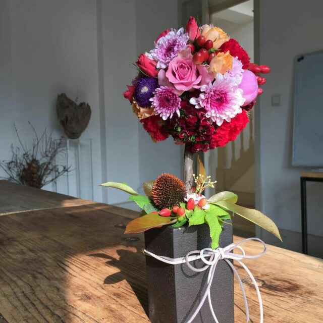 手机用户9720_iudb